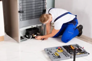 Professional Refrigerator Repair Service in Dubai