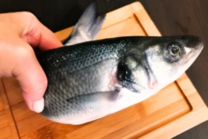 Expert Tips for Storing Rohu Fish at Home in Dubai