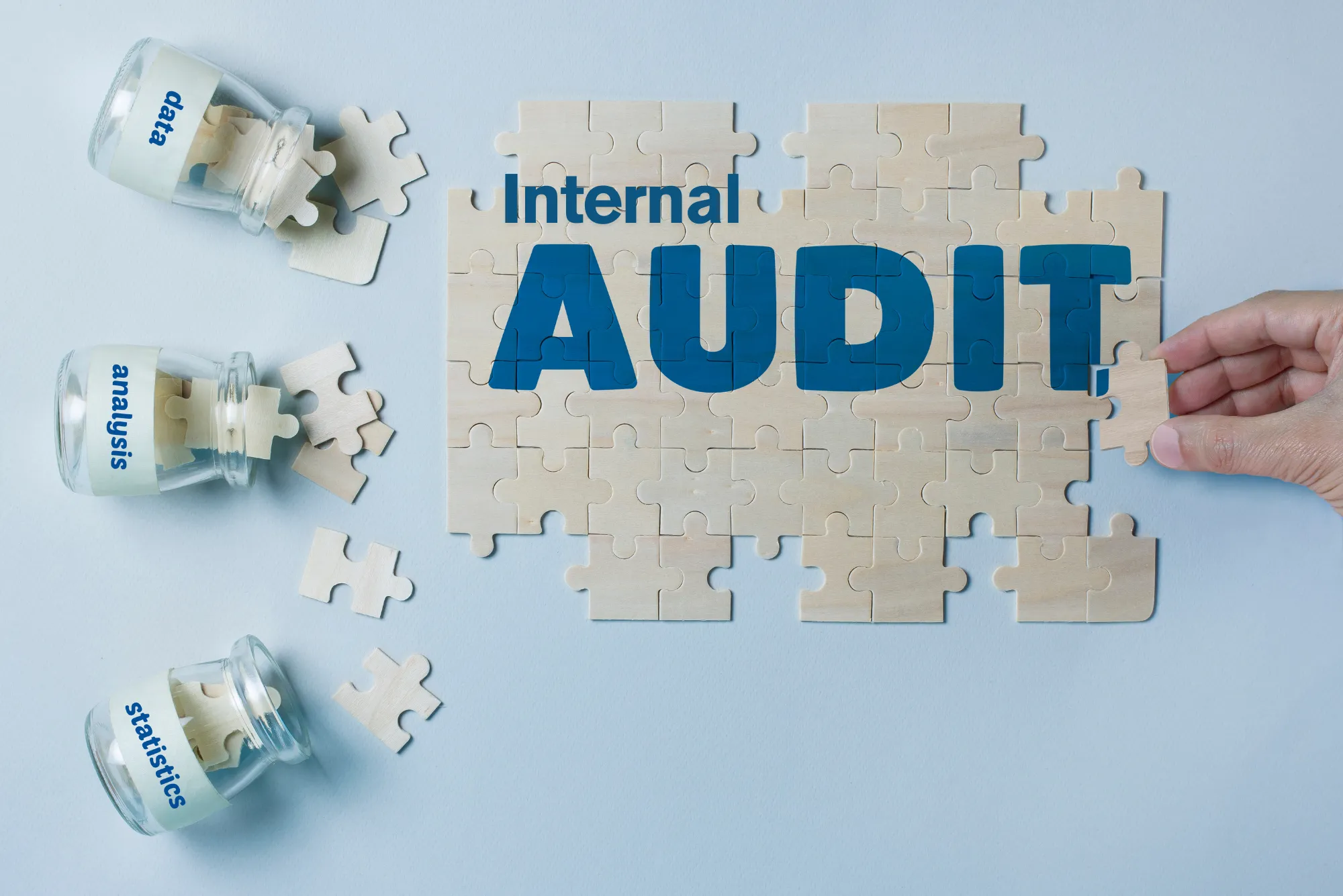 Internal Audits