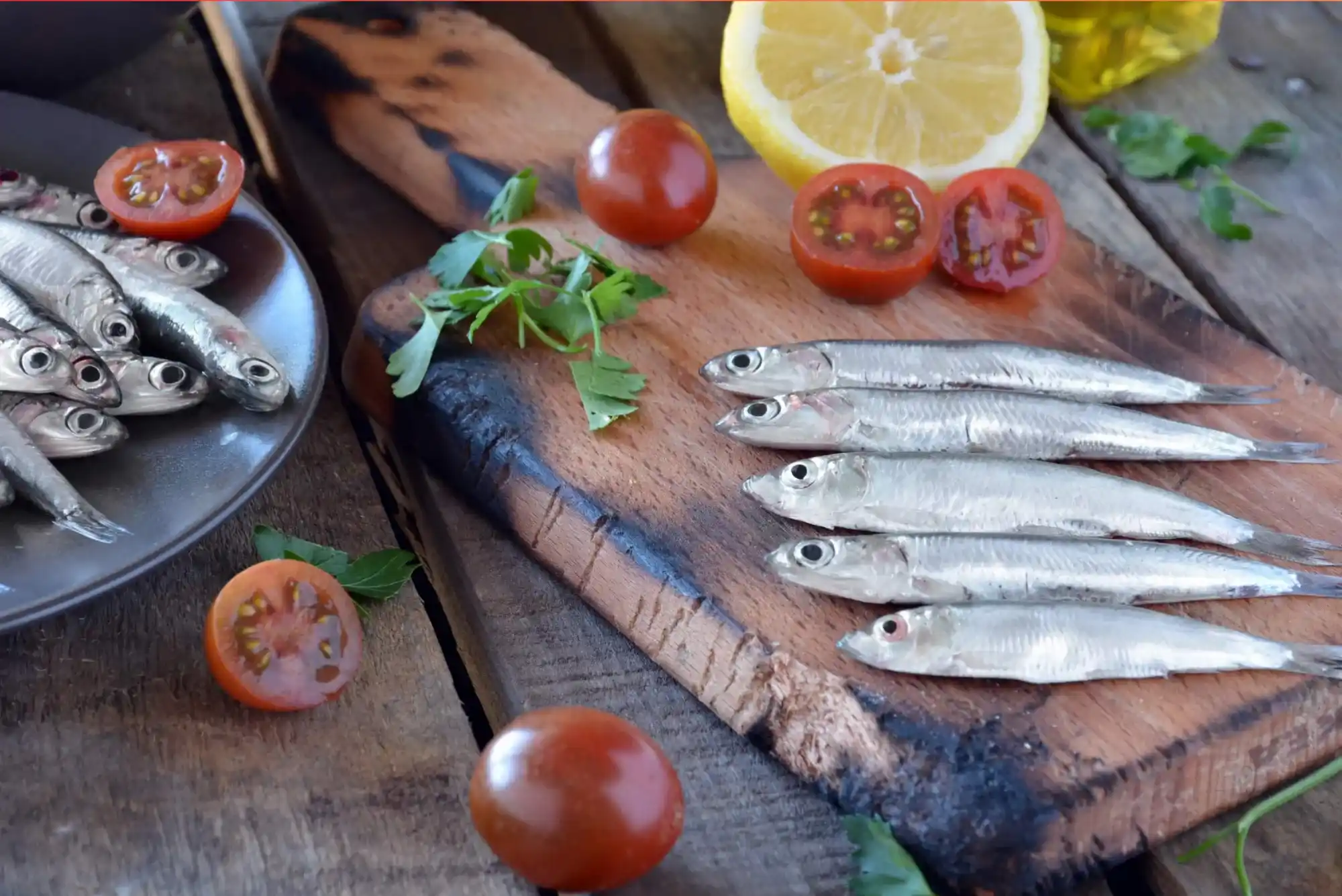 Secret Tips to Save Money When You Buy Sardine Fish in Dubai